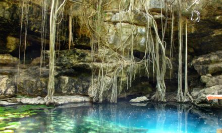 CENOTE 5