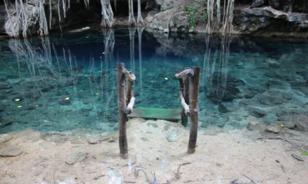 CENOTE 7